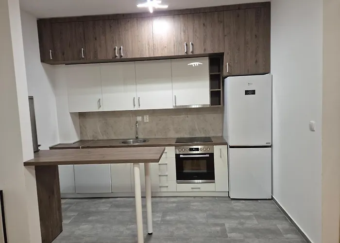 公寓 Teja- New For 4 Person With Free Parking Space 贝尔格莱德